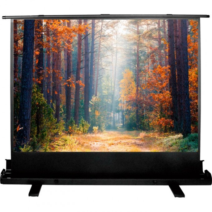 Экран CACTUS FLOOREXPERT , 89", 4:3, напольный, 180x135 см. CS-PSFLE-180X135 Экран CACTUS FLOOREXPERT , 89", 4:3, напольный, 180x135 см. CS-PSFLE-180X135