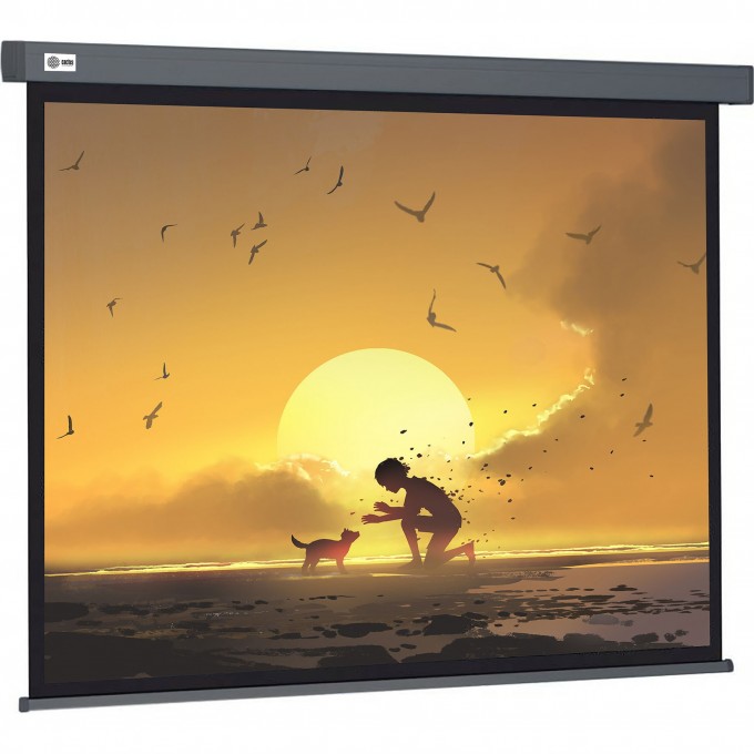 Экран CACTUS WALLSCREEN , 16:9, настенно-потолочный, корпус серый, 124.5x221 см. CS-PSW-124X221-SG Экран CACTUS WALLSCREEN , 16:9, настенно-потолочный, корпус серый, 124.5x221 см. CS-PSW-124X221-SG