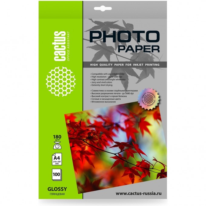 Фотобумага CACTUS A4 180г/м2 белая глянцевая для струйной печати 100л cs-ga4180100 Фотобумага CACTUS A4 180г/м2 белая глянцевая для струйной печати 100л cs-ga4180100