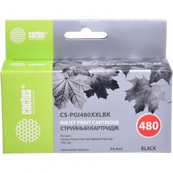 Струйный картридж CACTUS CS-PGI480XXLBK (PGI-480PGBK XXL) для Canon Pixma TR7540, TR8540, TS6140, TS8140, TS9140, TS704, черный, 24,4 мл Струйный картридж CACTUS CS-PGI480XXLBK (PGI-480PGBK XXL) для Canon Pixma TR7540, TR8540, TS6140, TS8140, TS9140, TS704, черный, 24,4 мл